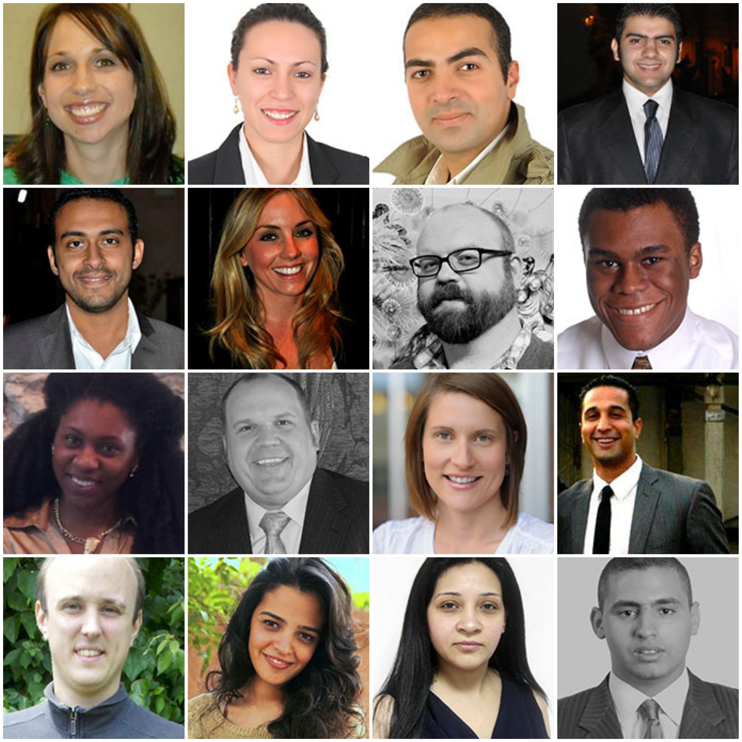 Gabr Fellows 2014