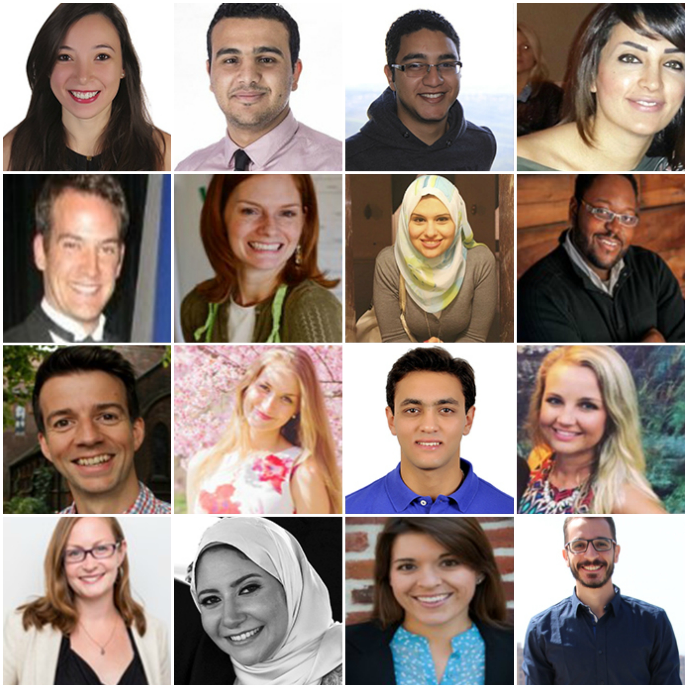 Gabr Fellows 2015