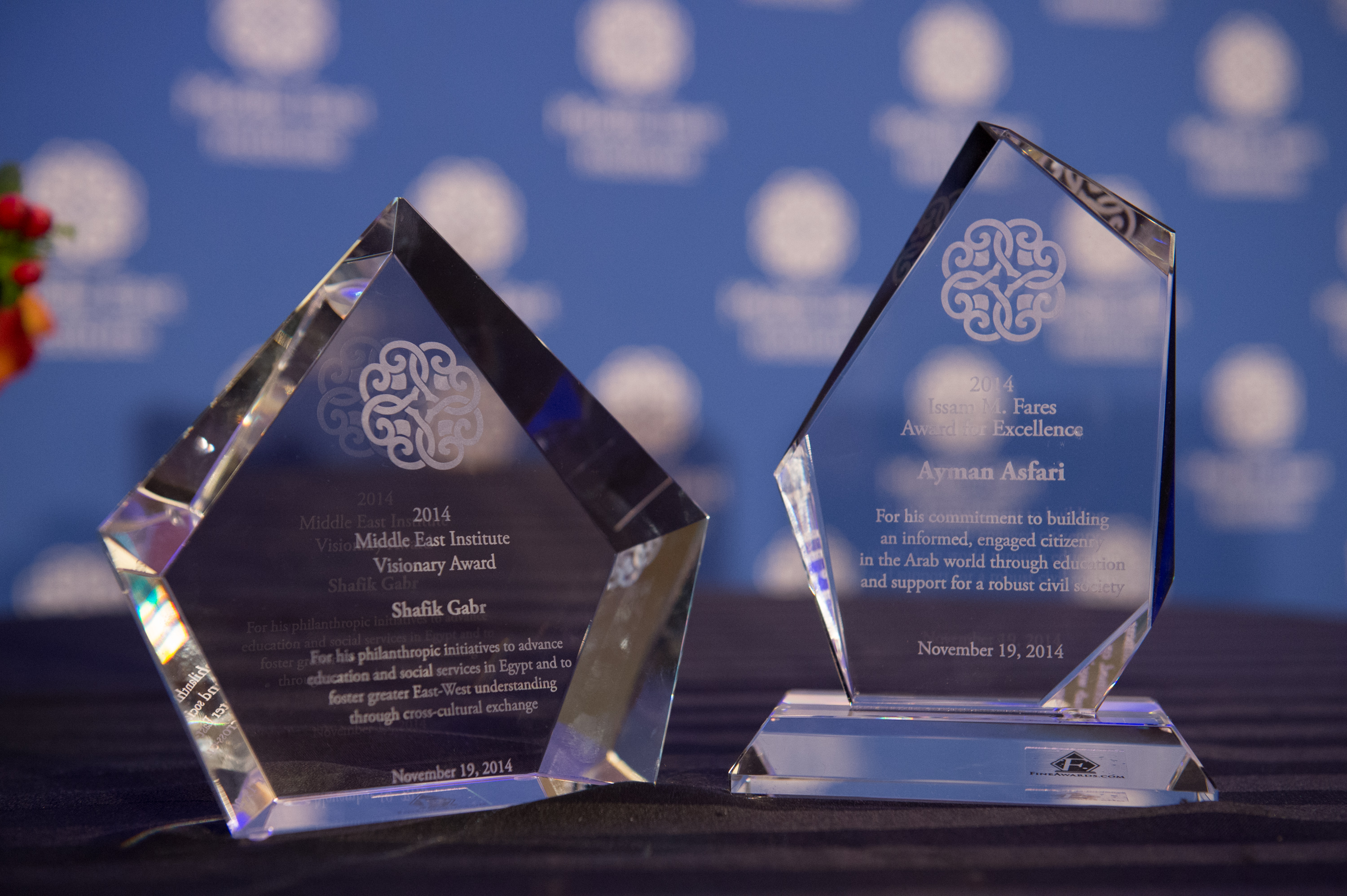 MEI Visionary Award 2014