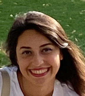 HEBA_SAFWAT_2013