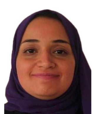 Menna Farouk, 2017 Gabr Fellow